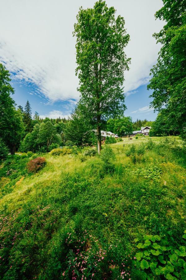 Apartman U Vlka - Hubertus, Karlova Studánka Εξωτερικό φωτογραφία